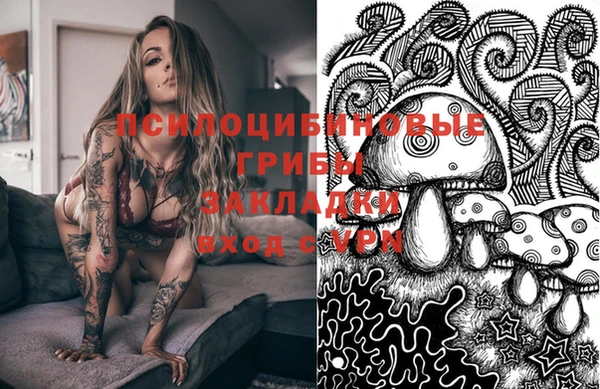 прущие крисы Богданович