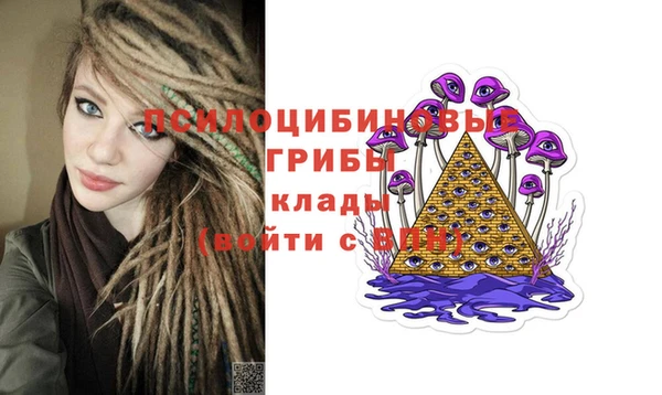 прущие крисы Богданович