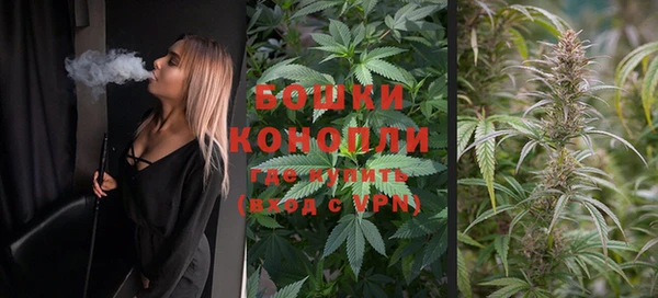 прущие крисы Богданович
