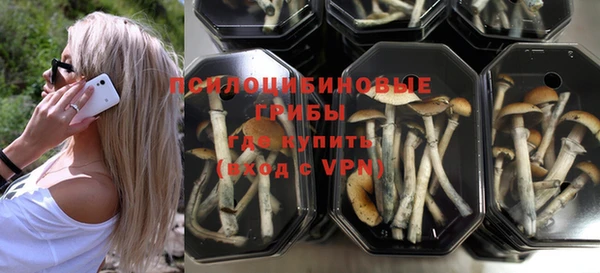 COCAINE Богородск
